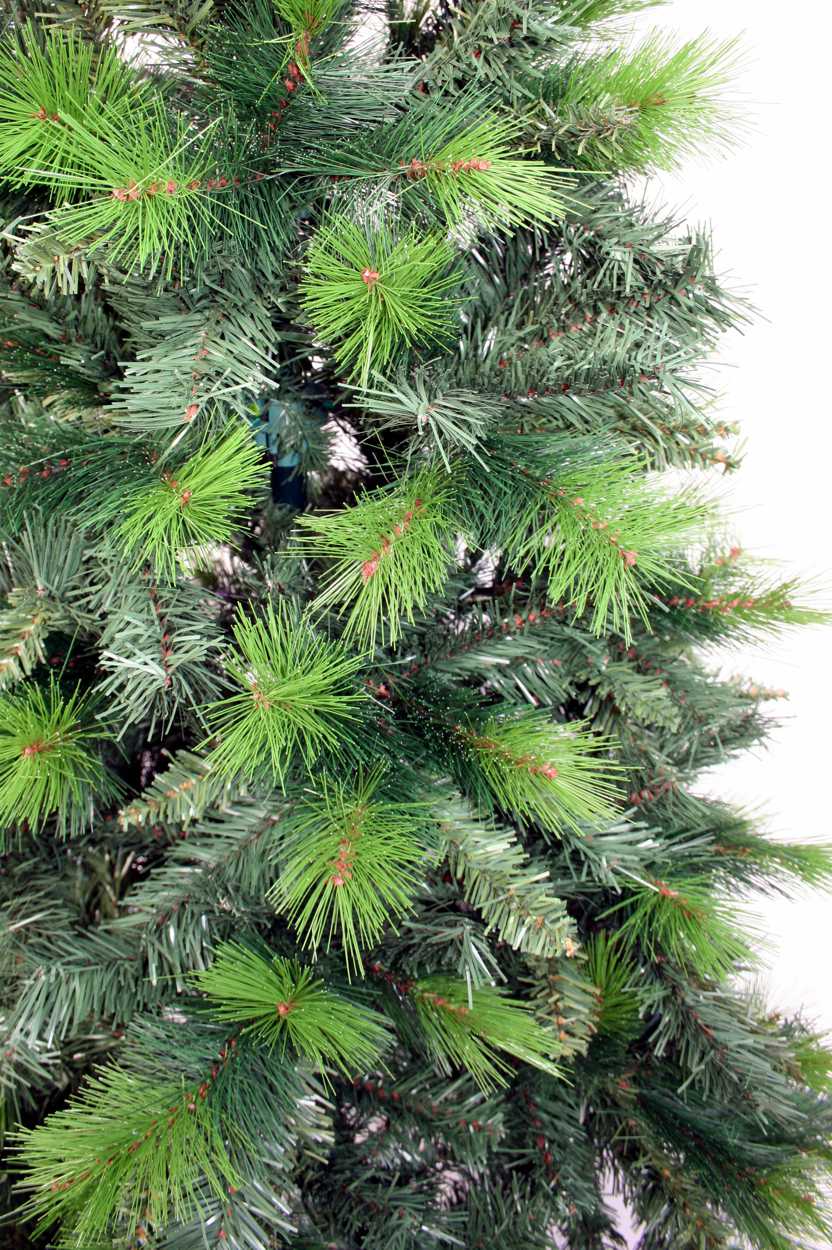 Weihnachtsbaum - Regina