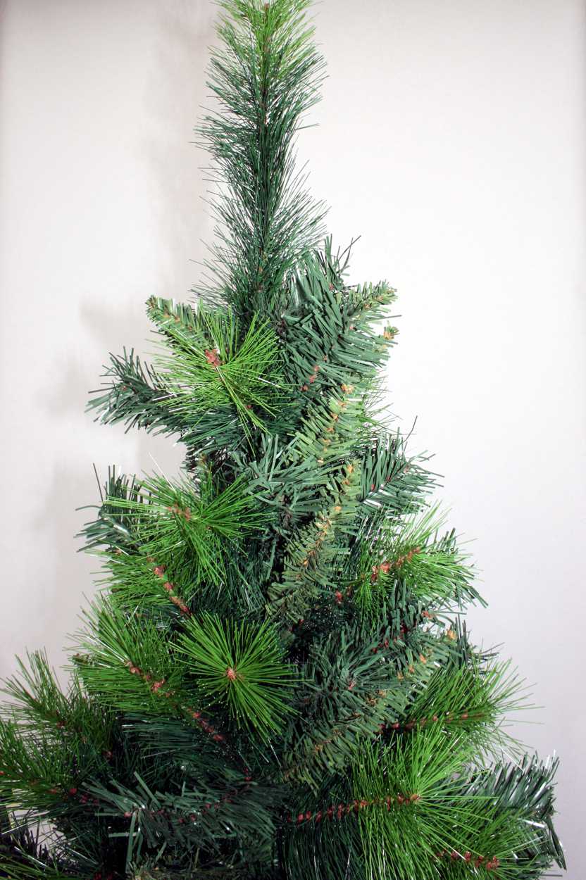 Weihnachtsbaum - Regina