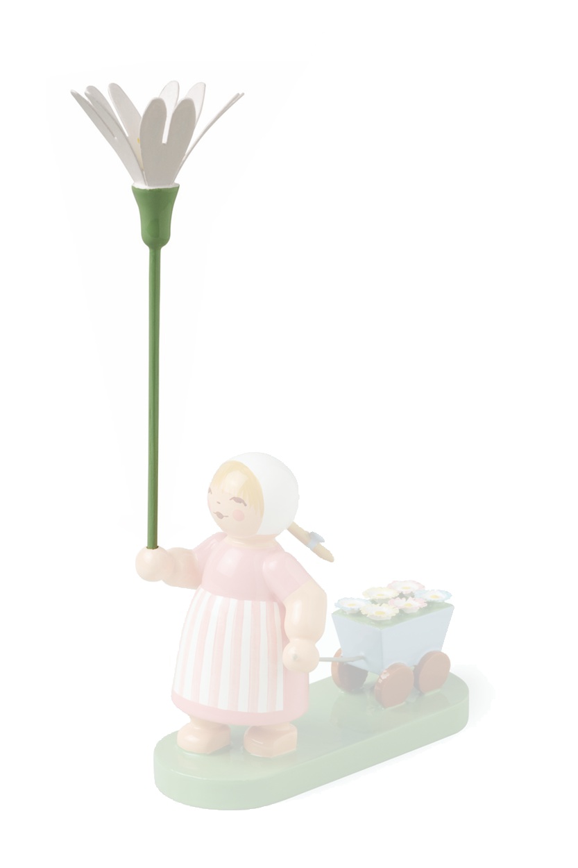 Ersatzblume Sternmiere für Blumenkind